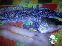 ������������� ���� "������� ���" �����������