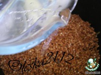 ���� "������������" �����������