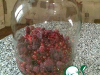 ������ �� ������� ��������� � ������ �����������