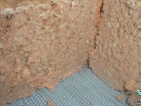 ������ �������� ���� �����������