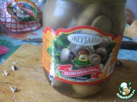 ������� "��������-2 " �����������