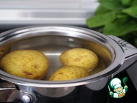 ������ �� �������� �����������