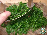 ������� ������-�������� �����������