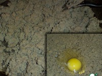 ������� "�������� ���������" �����������