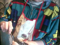 ����� "����� �������" �����������