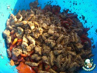 ��������� ��� �����������