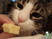 ������ ��������-�������� �����������