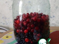 ������� �������� �����������