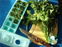 ������� ������ �����������