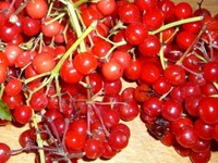 ��������� �����������