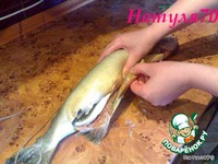 �������� ������� �����������