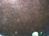 ����� �� ... ����� �����������