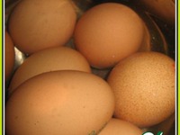 �������� � ��������� �������� �����������