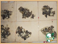 ������� ������� � ������� �����������