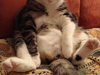 �������... ��� ������ ��������� ����� 3... ��� ���? �������? ����? �����������