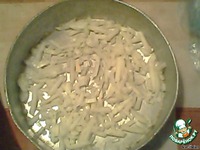 �����-������� ��������� "������" �����������