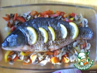 ���� �� ������� ������� �����������