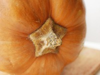 ������ ����� � ����� � ���������� ��������� �����������