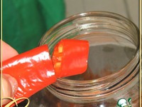 ������� ������� ������������ �����������