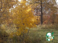 �������� ����� � ������� � ������� �����������