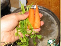 ������� ������ �����������