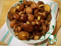 ����� � �������� �� ��������� �����������