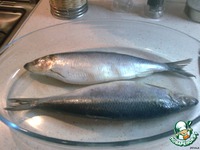 �������� ������� �����������