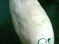 ������������ �������� �����������