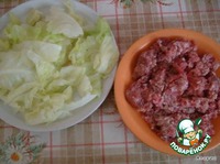 ������� ��������� ������� �����������