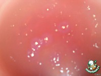 ���� "������ �����" �����������