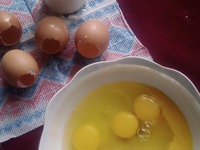 ������� "�������" �����������