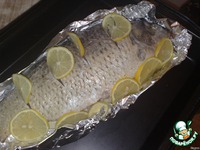 ����, ������������� ����� � ������� �����������