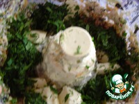 ������� ���������� � ���������� � �������� �����������