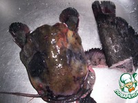 ������ ���� �����������