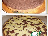 ������ ��������� ����� �����������