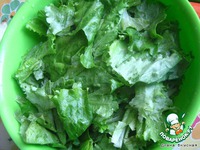 ����� "��������" �����������