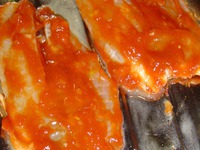 ����, ���������� � �������� � ����� �����������