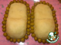 ������������ ������ "�������" �����������