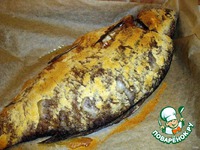 ���� ��-���������������� �����������