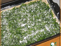 ����� �� ������� �����������