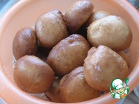 �������� �����������