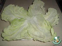 ������� "������ ������" �����������