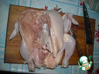 ����� �� �������� ���� ������ �����������