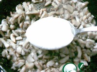 ������ ��������� �����������