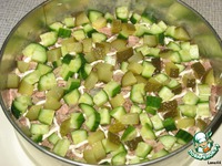 ����� ����������� ������� "�������" �����������