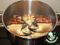 ���� ������������� �����������