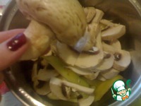 ���� � ������� �����������