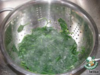 ������ ������ �����������