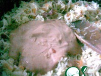 ������� ������� �����������