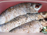 �������� ������ � �������� ��������� �����������